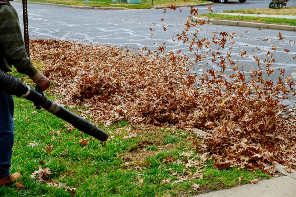 Billings Affordable Landscaping - Landscaping Lawn Mowing & Trimming, Landscaping Sod Installation & Repair, Landscaping Garden & Flower Bed Maintenance, Landscaping Mulching & Edging, Landscaping Shrub & Hedge Trimming, Seasonal Landscaping Cleanups (Spring & Fall), Landscaping Leaf Removal & Disposal, Landscaping Weed Pulling (Manual or Spot Treatment), Landscaping Lawn Rolling & Leveling, Existing Landscaping Removal/Repair, Landscaping Property Clean Up, Landscaping Dog Waste Removal & Lawn Repair, Landscaping Tree Planting & Young Tree Care, Landscaping Tree Trimming & Canopy Thinning, Landscaping Hedge Shaping & Pruning, Landscaping Rock & Gravel Bed Maintenance, Landscaping Storm Debris Cleanup, Landscaping Hardscape Installation (Patios, Walkways, Retaining Walls), Landscaping Erosion Control & Drainage Solutions, Landscaping Compost Application, Landscaping Seasonal Flower Planting (Annuals/Perennials), Landscaping Edible Garden Setup (Vegetable & Herb Beds), Landscaping Raised Bed Construction, Landscaping Fence Line Clearing & Maintenance.