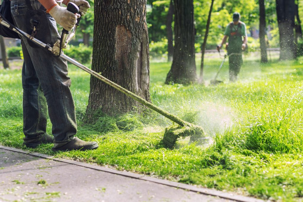 Billings Affordable Landscaping - Landscaping Lawn Mowing & Trimming, Landscaping Sod Installation & Repair, Landscaping Garden & Flower Bed Maintenance, Landscaping Mulching & Edging, Landscaping Shrub & Hedge Trimming, Seasonal Landscaping Cleanups (Spring & Fall), Landscaping Leaf Removal & Disposal, Landscaping Weed Pulling (Manual or Spot Treatment), Landscaping Lawn Rolling & Leveling, Existing Landscaping Removal/Repair, Landscaping Property Clean Up, Landscaping Dog Waste Removal & Lawn Repair, Landscaping Tree Planting & Young Tree Care, Landscaping Tree Trimming & Canopy Thinning, Landscaping Hedge Shaping & Pruning, Landscaping Rock & Gravel Bed Maintenance, Landscaping Storm Debris Cleanup, Landscaping Hardscape Installation (Patios, Walkways, Retaining Walls), Landscaping Erosion Control & Drainage Solutions, Landscaping Compost Application, Landscaping Seasonal Flower Planting (Annuals/Perennials), Landscaping Edible Garden Setup (Vegetable & Herb Beds), Landscaping Raised Bed Construction, Landscaping Fence Line Clearing & Maintenance.