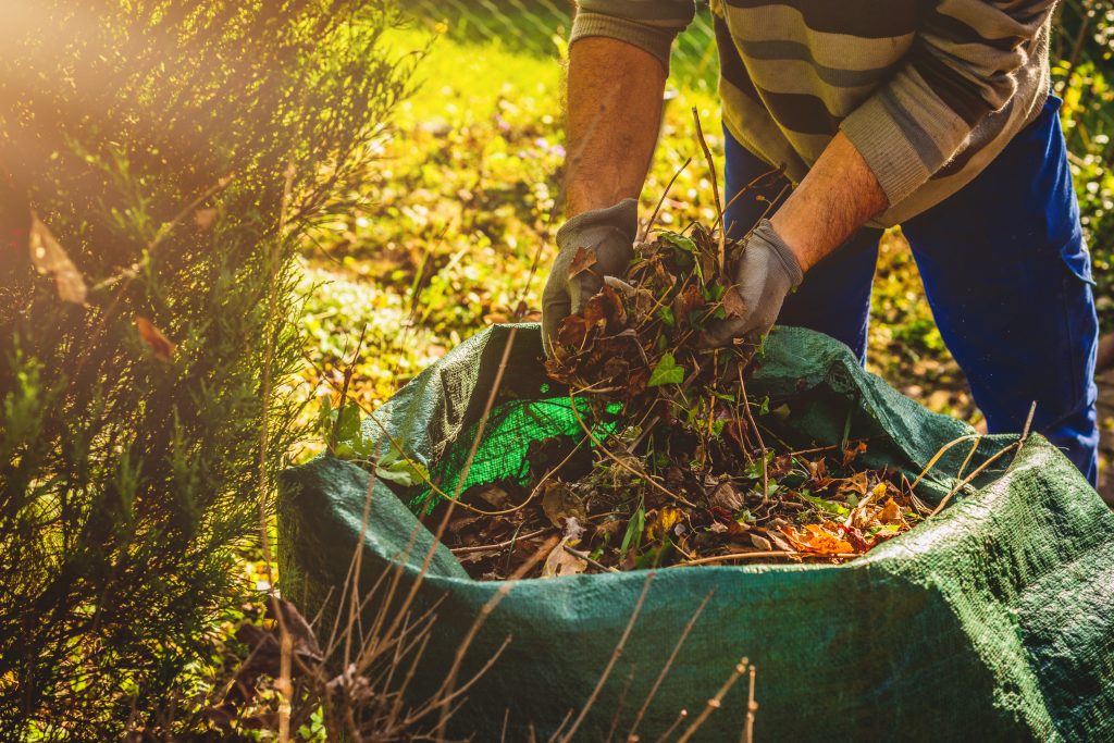 Billings Affordable Landscaping - Landscaping Lawn Mowing & Trimming, Landscaping Sod Installation & Repair, Landscaping Garden & Flower Bed Maintenance, Landscaping Mulching & Edging, Landscaping Shrub & Hedge Trimming, Seasonal Landscaping Cleanups (Spring & Fall), Landscaping Leaf Removal & Disposal, Landscaping Weed Pulling (Manual or Spot Treatment), Landscaping Lawn Rolling & Leveling, Existing Landscaping Removal/Repair, Landscaping Property Clean Up, Landscaping Dog Waste Removal & Lawn Repair, Landscaping Tree Planting & Young Tree Care, Landscaping Tree Trimming & Canopy Thinning, Landscaping Hedge Shaping & Pruning, Landscaping Rock & Gravel Bed Maintenance, Landscaping Storm Debris Cleanup, Landscaping Hardscape Installation (Patios, Walkways, Retaining Walls), Landscaping Erosion Control & Drainage Solutions, Landscaping Compost Application, Landscaping Seasonal Flower Planting (Annuals/Perennials), Landscaping Edible Garden Setup (Vegetable & Herb Beds), Landscaping Raised Bed Construction, Landscaping Fence Line Clearing & Maintenance.