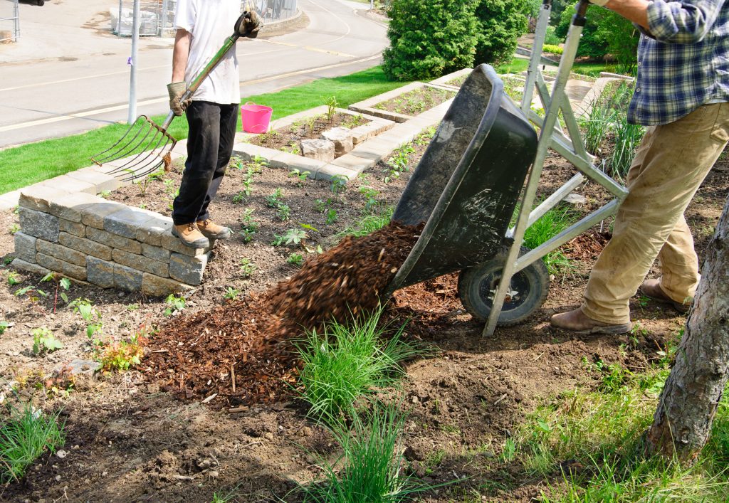 Billings Affordable Landscaping - Landscaping Lawn Mowing & Trimming, Landscaping Sod Installation & Repair, Landscaping Garden & Flower Bed Maintenance, Landscaping Mulching & Edging, Landscaping Shrub & Hedge Trimming, Seasonal Landscaping Cleanups (Spring & Fall), Landscaping Leaf Removal & Disposal, Landscaping Weed Pulling (Manual or Spot Treatment), Landscaping Lawn Rolling & Leveling, Existing Landscaping Removal/Repair, Landscaping Property Clean Up, Landscaping Dog Waste Removal & Lawn Repair, Landscaping Tree Planting & Young Tree Care, Landscaping Tree Trimming & Canopy Thinning, Landscaping Hedge Shaping & Pruning, Landscaping Rock & Gravel Bed Maintenance, Landscaping Storm Debris Cleanup, Landscaping Hardscape Installation (Patios, Walkways, Retaining Walls), Landscaping Erosion Control & Drainage Solutions, Landscaping Compost Application, Landscaping Seasonal Flower Planting (Annuals/Perennials), Landscaping Edible Garden Setup (Vegetable & Herb Beds), Landscaping Raised Bed Construction, Landscaping Fence Line Clearing & Maintenance.