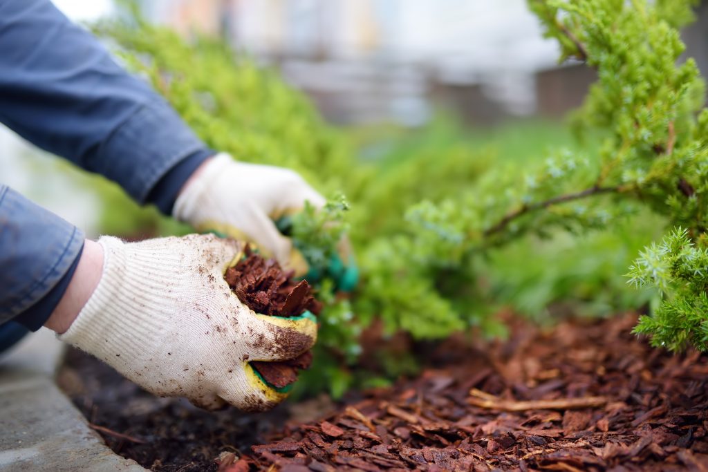 Billings Affordable Landscaping - Landscaping Lawn Mowing & Trimming, Landscaping Sod Installation & Repair, Landscaping Garden & Flower Bed Maintenance, Landscaping Mulching & Edging, Landscaping Shrub & Hedge Trimming, Seasonal Landscaping Cleanups (Spring & Fall), Landscaping Leaf Removal & Disposal, Landscaping Weed Pulling (Manual or Spot Treatment), Landscaping Lawn Rolling & Leveling, Existing Landscaping Removal/Repair, Landscaping Property Clean Up, Landscaping Dog Waste Removal & Lawn Repair, Landscaping Tree Planting & Young Tree Care, Landscaping Tree Trimming & Canopy Thinning, Landscaping Hedge Shaping & Pruning, Landscaping Rock & Gravel Bed Maintenance, Landscaping Storm Debris Cleanup, Landscaping Hardscape Installation (Patios, Walkways, Retaining Walls), Landscaping Erosion Control & Drainage Solutions, Landscaping Compost Application, Landscaping Seasonal Flower Planting (Annuals/Perennials), Landscaping Edible Garden Setup (Vegetable & Herb Beds), Landscaping Raised Bed Construction, Landscaping Fence Line Clearing & Maintenance.