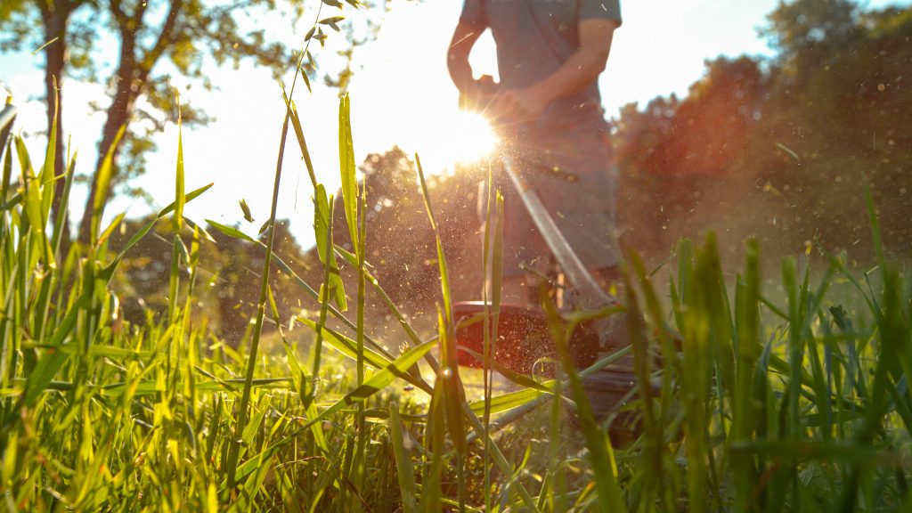 Billings Affordable Landscaping - Landscaping Lawn Mowing & Trimming, Landscaping Sod Installation & Repair, Landscaping Garden & Flower Bed Maintenance, Landscaping Mulching & Edging, Landscaping Shrub & Hedge Trimming, Seasonal Landscaping Cleanups (Spring & Fall), Landscaping Leaf Removal & Disposal, Landscaping Weed Pulling (Manual or Spot Treatment), Landscaping Lawn Rolling & Leveling, Existing Landscaping Removal/Repair, Landscaping Property Clean Up, Landscaping Dog Waste Removal & Lawn Repair, Landscaping Tree Planting & Young Tree Care, Landscaping Tree Trimming & Canopy Thinning, Landscaping Hedge Shaping & Pruning, Landscaping Rock & Gravel Bed Maintenance, Landscaping Storm Debris Cleanup, Landscaping Hardscape Installation (Patios, Walkways, Retaining Walls), Landscaping Erosion Control & Drainage Solutions, Landscaping Compost Application, Landscaping Seasonal Flower Planting (Annuals/Perennials), Landscaping Edible Garden Setup (Vegetable & Herb Beds), Landscaping Raised Bed Construction, Landscaping Fence Line Clearing & Maintenance.