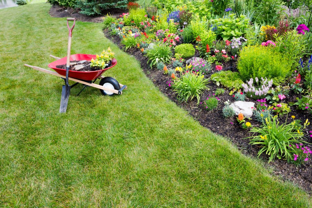 Billings Affordable Landscaping - Landscaping Lawn Mowing & Trimming, Landscaping Sod Installation & Repair, Landscaping Garden & Flower Bed Maintenance, Landscaping Mulching & Edging, Landscaping Shrub & Hedge Trimming, Seasonal Landscaping Cleanups (Spring & Fall), Landscaping Leaf Removal & Disposal, Landscaping Weed Pulling (Manual or Spot Treatment), Landscaping Lawn Rolling & Leveling, Existing Landscaping Removal/Repair, Landscaping Property Clean Up, Landscaping Dog Waste Removal & Lawn Repair, Landscaping Tree Planting & Young Tree Care, Landscaping Tree Trimming & Canopy Thinning, Landscaping Hedge Shaping & Pruning, Landscaping Rock & Gravel Bed Maintenance, Landscaping Storm Debris Cleanup, Landscaping Hardscape Installation (Patios, Walkways, Retaining Walls), Landscaping Erosion Control & Drainage Solutions, Landscaping Compost Application, Landscaping Seasonal Flower Planting (Annuals/Perennials), Landscaping Edible Garden Setup (Vegetable & Herb Beds), Landscaping Raised Bed Construction, Landscaping Fence Line Clearing & Maintenance.