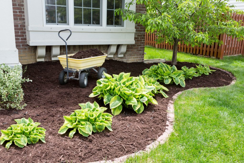 Billings Affordable Landscaping - Landscaping Lawn Mowing & Trimming, Landscaping Sod Installation & Repair, Landscaping Garden & Flower Bed Maintenance, Landscaping Mulching & Edging, Landscaping Shrub & Hedge Trimming, Seasonal Landscaping Cleanups (Spring & Fall), Landscaping Leaf Removal & Disposal, Landscaping Weed Pulling (Manual or Spot Treatment), Landscaping Lawn Rolling & Leveling, Existing Landscaping Removal/Repair, Landscaping Property Clean Up, Landscaping Dog Waste Removal & Lawn Repair, Landscaping Tree Planting & Young Tree Care, Landscaping Tree Trimming & Canopy Thinning, Landscaping Hedge Shaping & Pruning, Landscaping Rock & Gravel Bed Maintenance, Landscaping Storm Debris Cleanup, Landscaping Hardscape Installation (Patios, Walkways, Retaining Walls), Landscaping Erosion Control & Drainage Solutions, Landscaping Compost Application, Landscaping Seasonal Flower Planting (Annuals/Perennials), Landscaping Edible Garden Setup (Vegetable & Herb Beds), Landscaping Raised Bed Construction, Landscaping Fence Line Clearing & Maintenance.